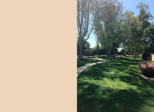 California homeowners association
